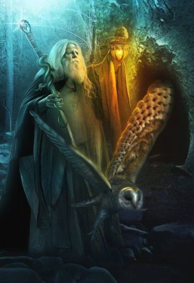 11329773_1657400811137943_5331737767824573973_n