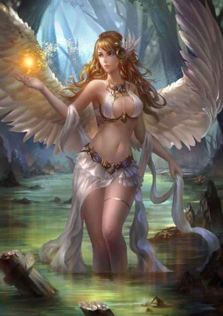 11755355_1605295066427005_8954192556007440416_n