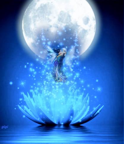 11794464_385570204975350_8189189998538764741_o