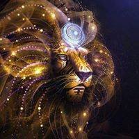 11800310_10152964308690598_1017653720476647856_n