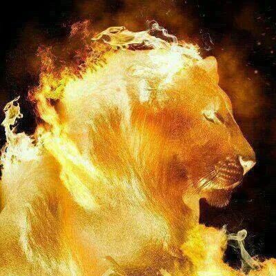 11825776_401832293351170_670453205646259279_n