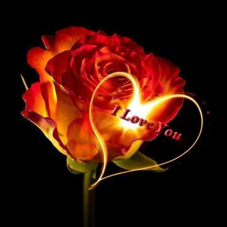 1184800_642792452441656_2070235838_n