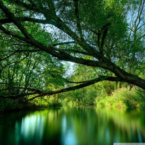 11855631_1018460274830996_8628026703314015535_n