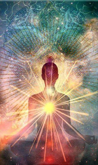 11855861_10200894528882369_6888873402770307682_n