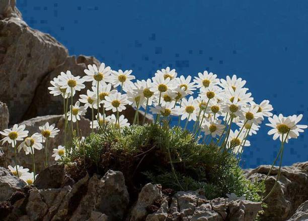 11896021_856017111112858_7523049316013356358_n