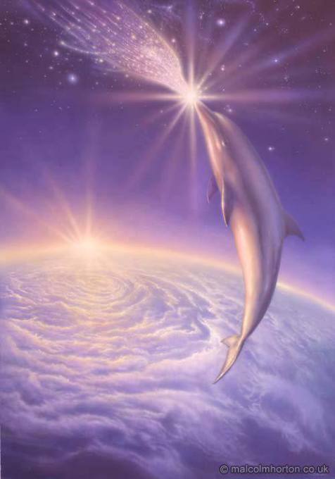 11902235_937362039655654_4822034202364931529_n