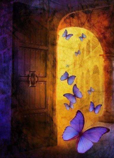 1466029_381966218671111_2847390739935381059_n