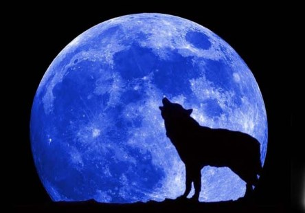 4fa3d5c0dcb589.42643791