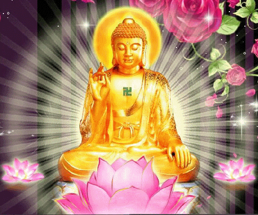 5155_200804302204531YW9G