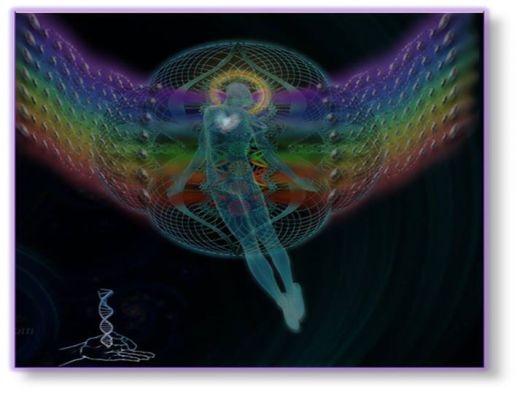 9987_777976438988853_7258380061719806194_n