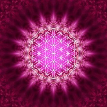 10342878_844968485515080_9209857718328527670_n