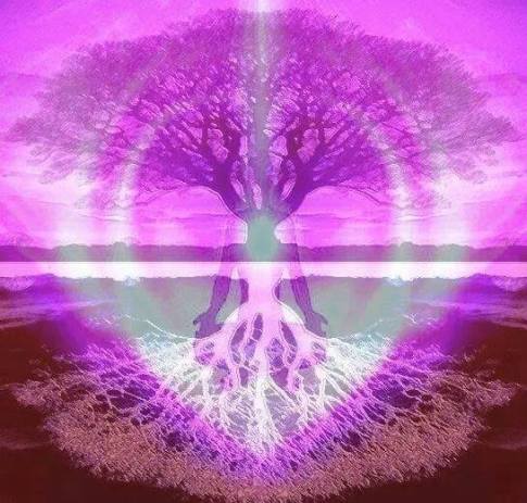 10422570_510658305738772_3180250788726423129_n