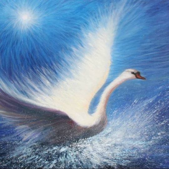 10982357_842234785871582_8117854778117282393_n