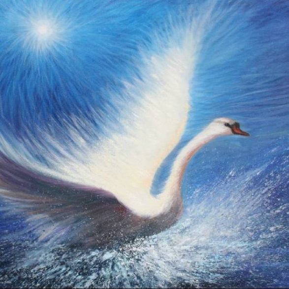 10982357_842234785871582_8117854778117282393_n