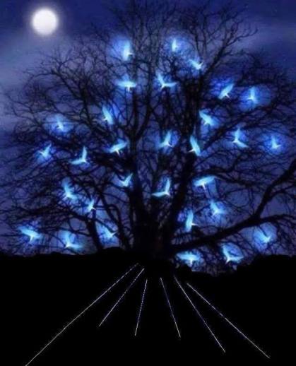 10983384_1591814851094365_3067183680172690498_n