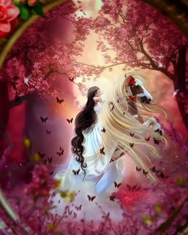 11065876_587732261330174_183535109686941279_n