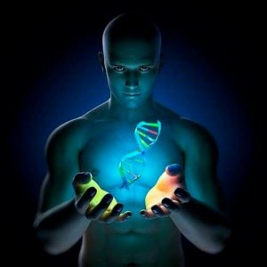 11150579_1666968210239373_524966670437020380_n