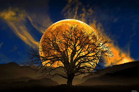 11181798_901617566589764_5266771388244794589_n