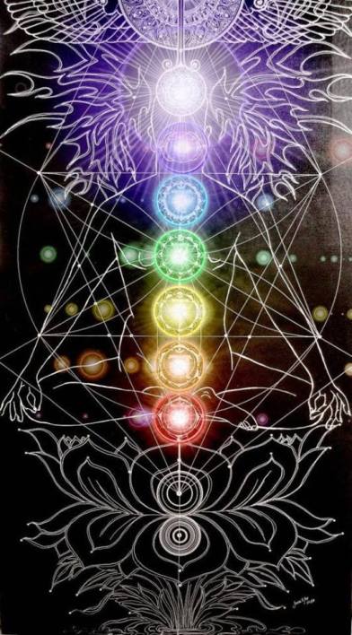 11745399_10153441971648058_2455269972285236989_n