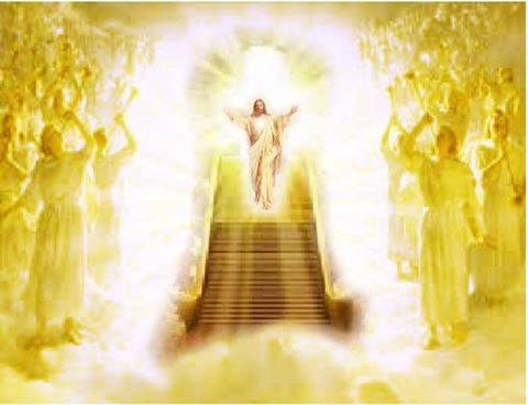 11755719_1673788052840055_8240122568274572043_n