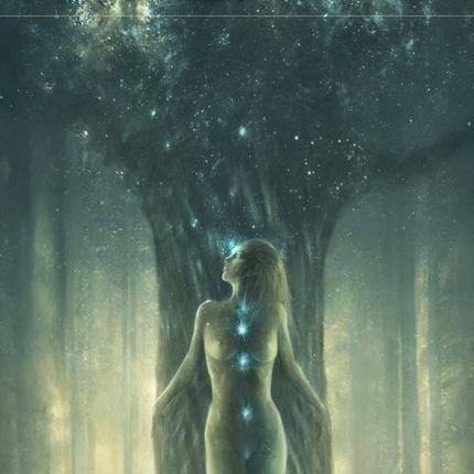 11825218_919029531486518_6737771564686887454_n