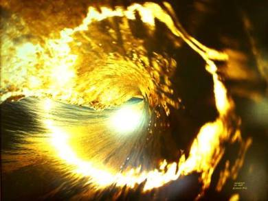 11880595_684696991663963_553316532045942977_n