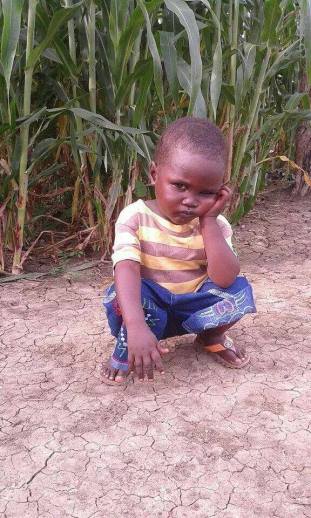 11885331_1665780230302487_1504998169741051365_n