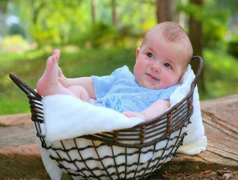 11902482_1481837625469891_8973380325264784384_n