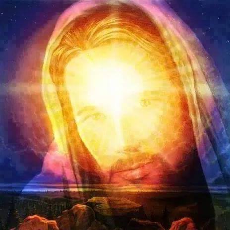 11921647_1150206908326523_4358325264816990025_n