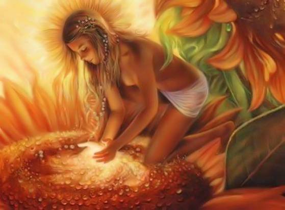 11928705_741987732599343_6678914268378004080_o