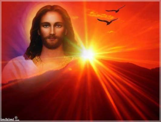 11988309_662824230487570_1253692811782608128_n