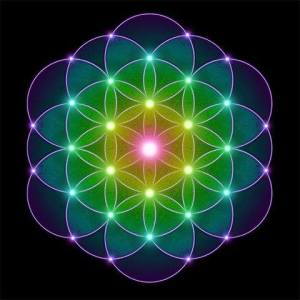 11990588_869311119813297_2781321689987184087_n