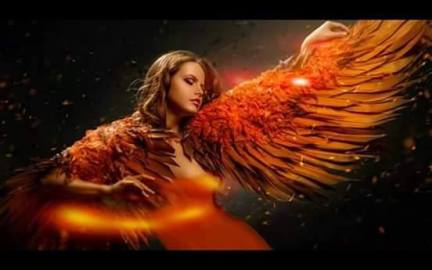 11990698_574387552699180_3070340623350324111_n