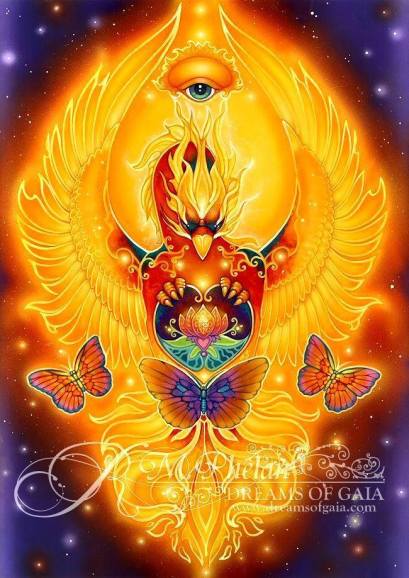 12002862_659639277472732_1084186619043176473_n