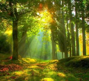 12003321_1028431540515035_1333941393228123008_n