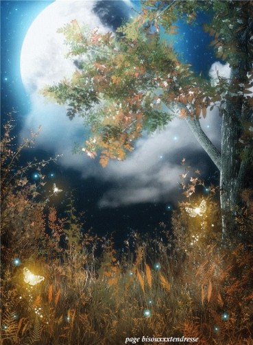 12033152_1041619219202018_3011631754429954429_n