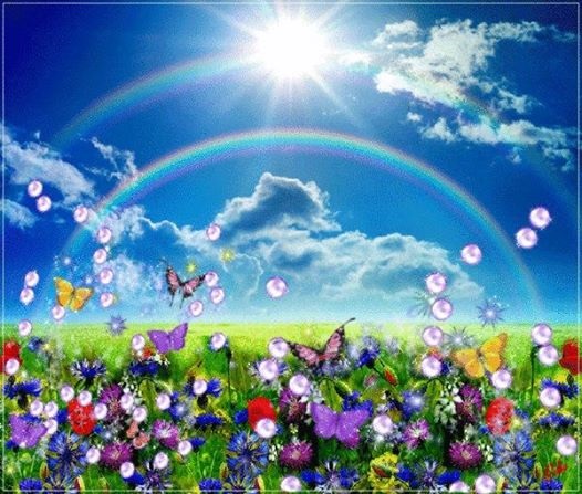 1461104_535076496573994_1085600984_n