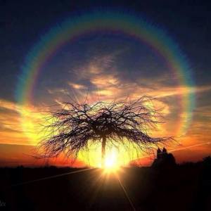 1560580_10202439746770439_1921486533_n