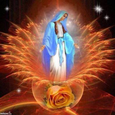 1981815_10152862440528058_2269765551557483625_n