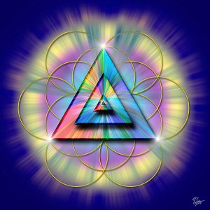 248609_288265694630274_196044036_n