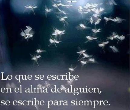 972150_206477786143134_1640871542_n