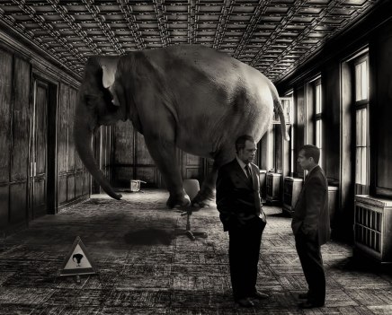 E-is-for-elephant-in-this-case-an-elephant-in-the-room