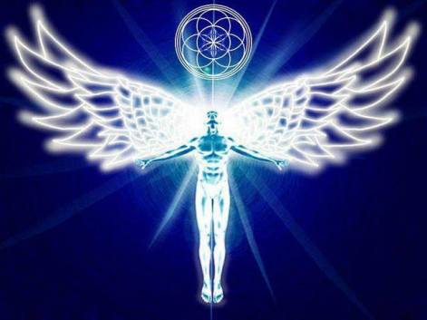 1006212_556189824445230_221757052_n