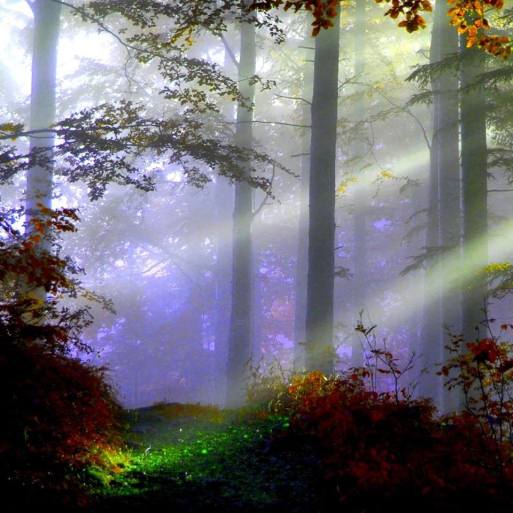 10437616_1055049011172122_3802957219045678470_n