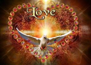 10615509_863039273708001_69270055823891813_n