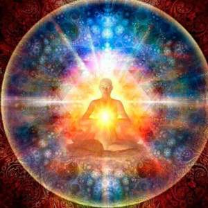 11659476_10207125985368257_1703578313792876285_n