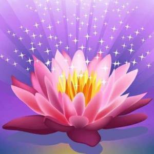 11700874_667001613433218_6403221794556876980_n