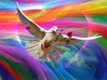 11796425_10207263191047429_7379548292002380159_n