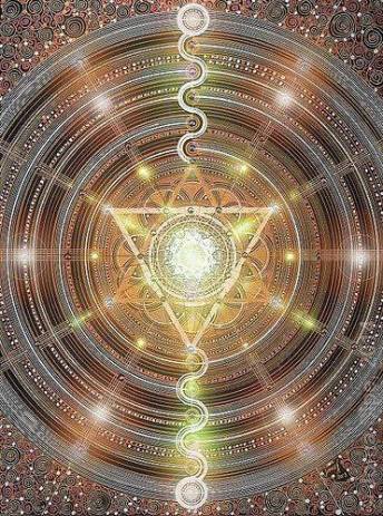 11924576_883931154975447_821520370302796076_n