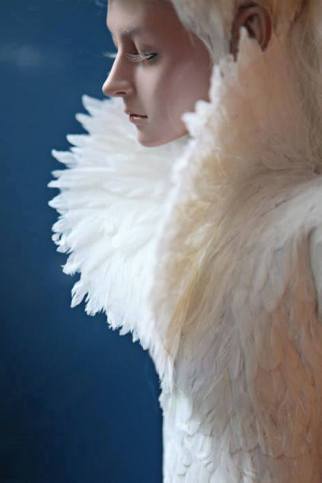 11988194_10207579022704747_4825641521963109255_n